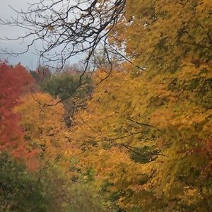 Meet your Posher, Namrata